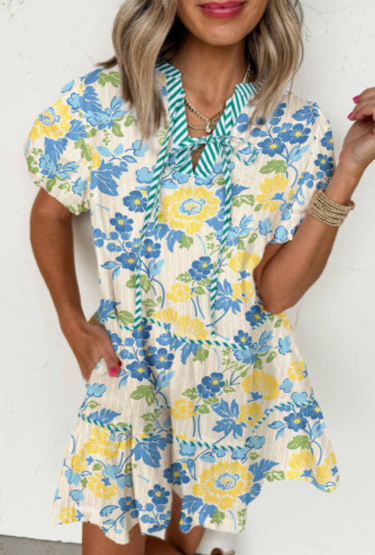 NEVER TOLD YOU MINI DRESS